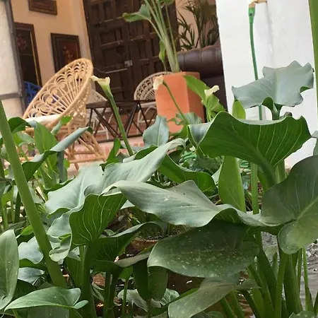 Apartamento Palacete Del águila 1