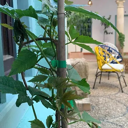 Apartamento Palacete Del águila 1 *